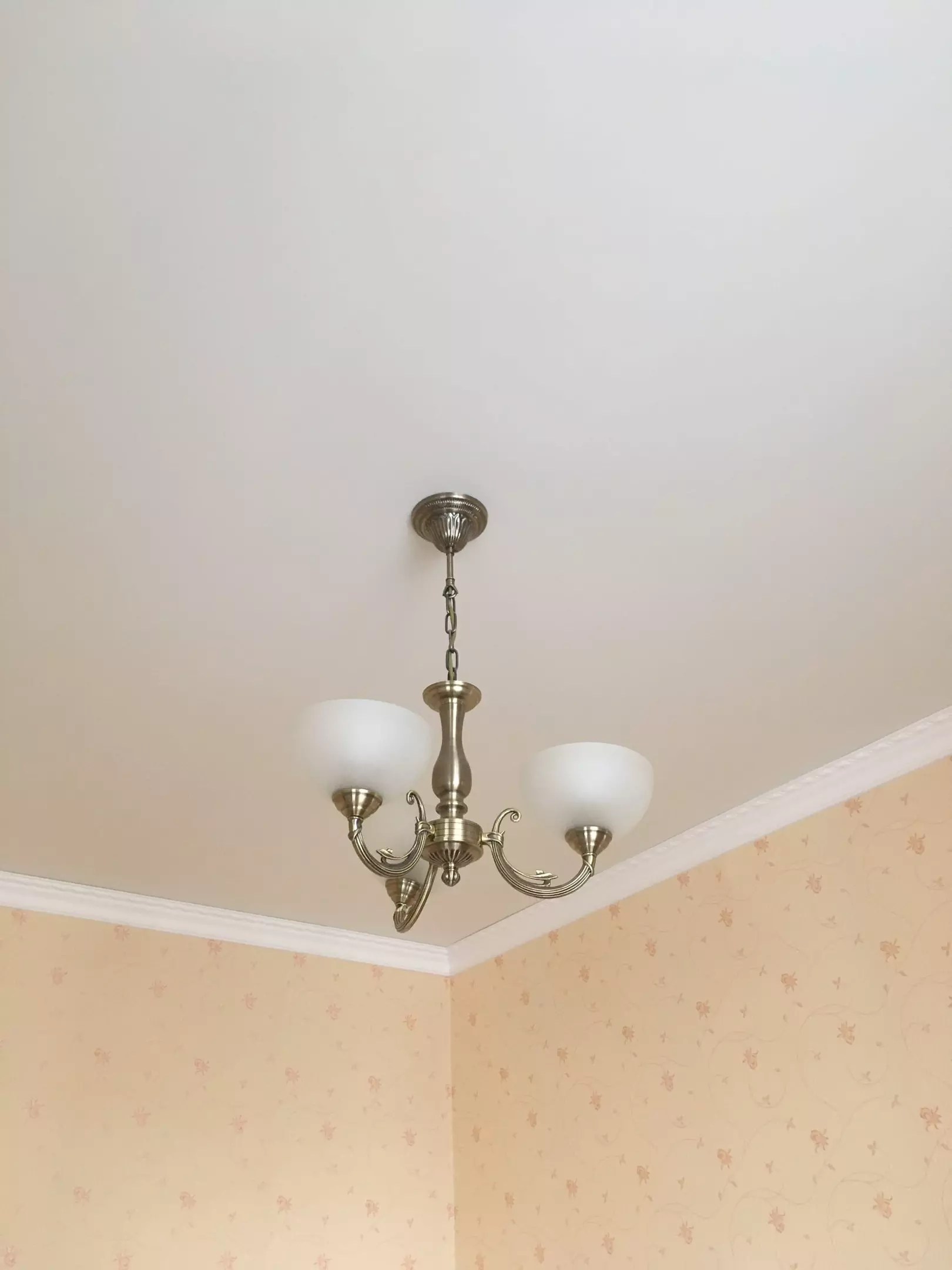 Псков, Петрова, 2а, фото 2