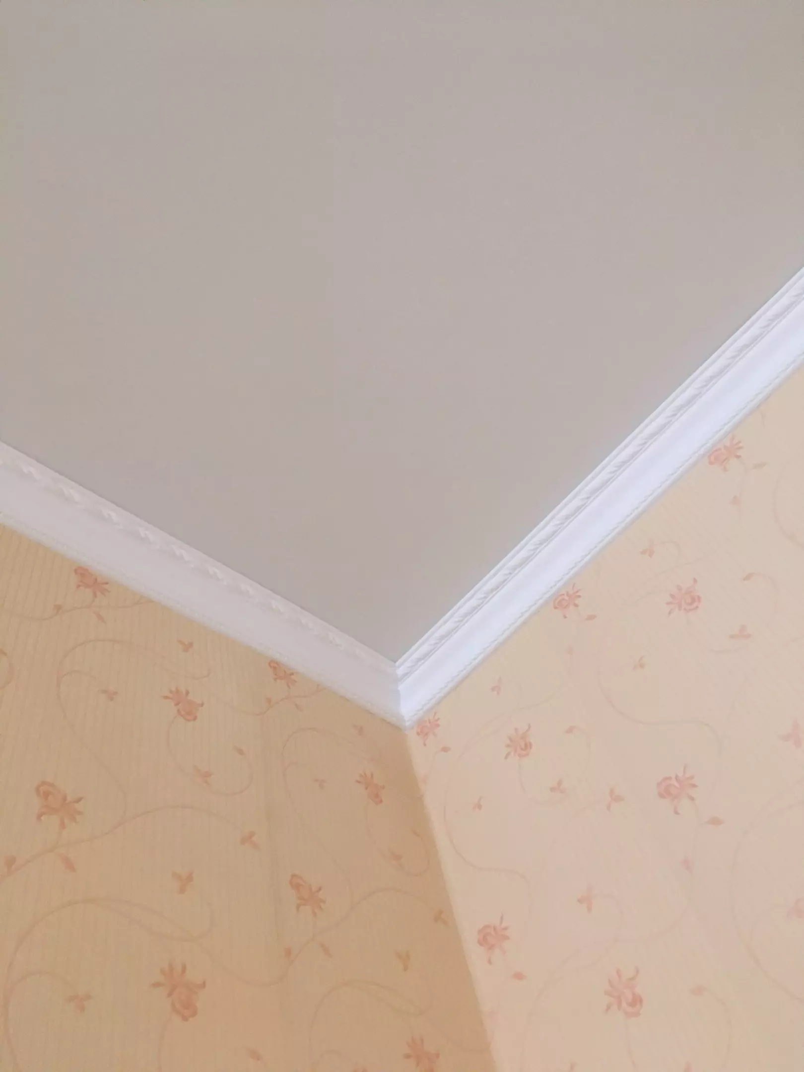 Псков, Петрова, 2а, фото 3