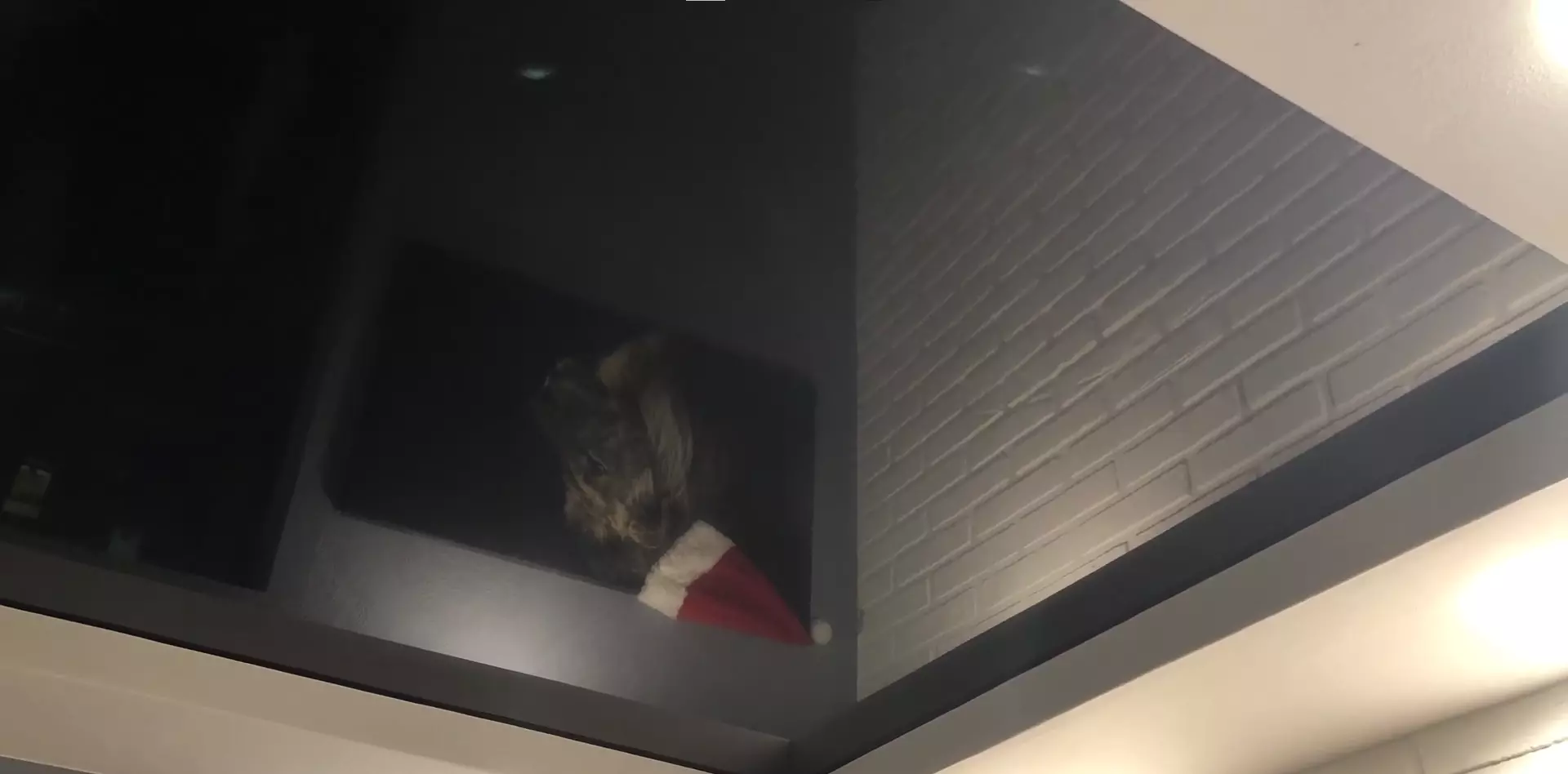 Набережные Челны, проспект Дружбы народов, 9Б, фото 3