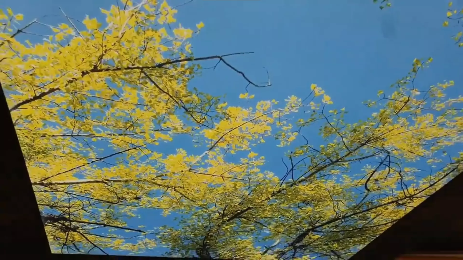 Чита, Боровая, 9, фото 2