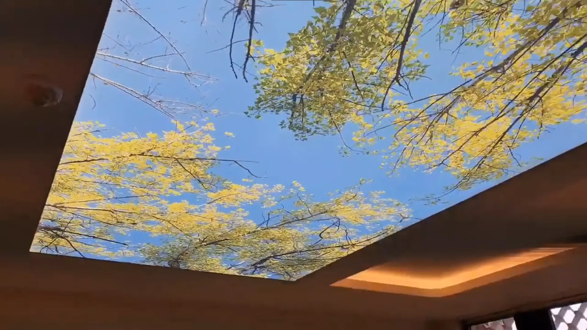 Чита, Боровая, 9, фото 3